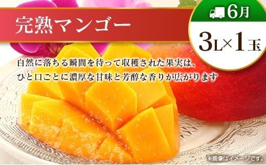 【偶数月 6回定期便】旬 人気 フルーツ 南国宮崎産 マンゴー シャインマスカット いちご 日向夏 梨 みかん 柑橘 ぶどう 果物 詰め合わせ 宮崎県 九州＜B-2コース M220＞