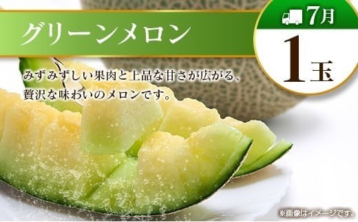 【12回定期便】旬 人気 フルーツ 南国宮崎産 マンゴー 金柑たまたま シャインマスカット ピオーネ いちご みかん 日向夏 メロン 梨 柑橘 きんかん ぶどう 果物 詰め合わせ 宮崎県 九州 1年 毎月お届け＜Cコース M300＞