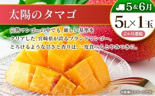 【10回定期便】旬 人気 フルーツ 南国宮崎産 太陽のタマゴ 金柑たまたまエクセレント シャインマスカット ピオーネ いちご みかん 梨 メロン 柑橘 マンゴー きんかん たまたま ぶどう 果物 詰め合わせ 宮崎県 九州＜E-1コース M500＞