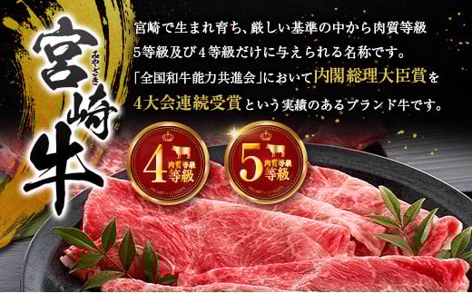 宮崎牛 ビーフジャーキー 20袋 (30g×20袋) おつまみ 宮崎県産