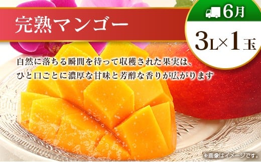 【偶数月 6回定期便】旬 人気 フルーツ 南国宮崎産 マンゴー シャインマスカット いちご 日向夏 梨 みかん 柑橘 ぶどう 果物 詰め合わせ 宮崎県 九州＜B-2コース M220＞