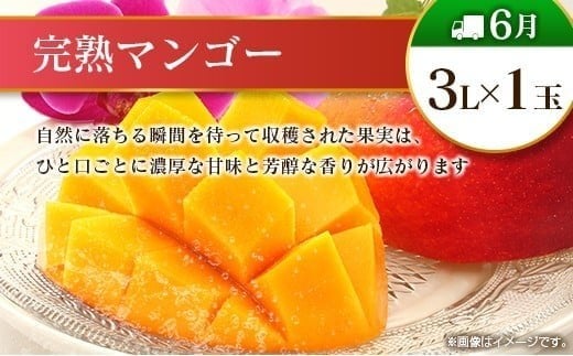 【偶数月 6回定期便】旬 人気 フルーツ 南国宮崎産 マンゴー シャインマスカット いちご 日向夏 梨 みかん 柑橘 ぶどう 果物 詰め合わせ 宮崎県 九州＜B-2コース M220＞