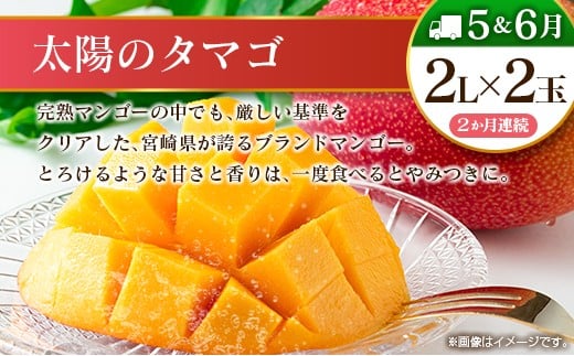 【12回定期便】旬 人気 フルーツ 南国宮崎産 太陽のタマゴ たまたまエクセレント シャインマスカット ピオーネ いちご みかん 日向夏 メロン 梨 柑橘 完熟 マンゴー きんかん たまたま ぶどう 果物 詰め合わせ 宮崎県 九州 1年 毎月お届け＜Aコース M100＞
