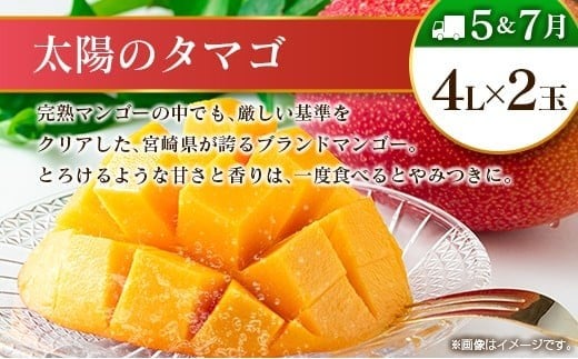 【12回定期便】旬 人気 フルーツ 南国宮崎産 マンゴー ライチ 金柑たまたまエクセレント シャインマスカット ピオーネ いちご みかん 梨 柑橘 太陽のタマゴ きんかん たまたま ぶどう 果物 詰め合わせ 宮崎県 九州 1年 毎月お届け＜Dコース M400＞