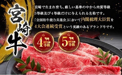 塩だけでつくる 宮崎牛 塩ジャーキー 5袋（20g×5袋）ブランド牛 ビーフジャーキー おつまみ 珍味 グルメ 干し肉 宮崎県産