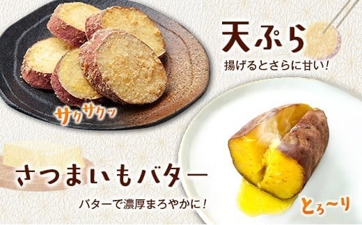 長期熟成 紅はるか 計3kg 宮崎県都城市産 さつまいも サツマイモ 計3kg