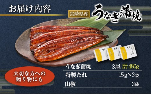 宮崎県産 うなぎ 蒲焼 3尾 計480g 個包装 長焼 国産 鰻