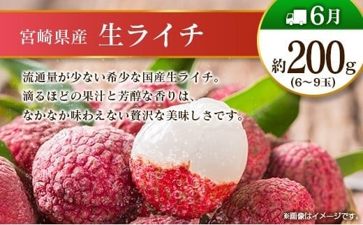 【12回定期便】旬 人気 フルーツ 南国宮崎産 マンゴー ライチ 金柑たまたま シャインマスカット ピオーネ いちご みかん 日向夏 メロン 梨 柑橘 きんかん ぶどう 果物 詰め合わせ 宮崎県 九州 1年 毎月お届け＜Bコース M200＞