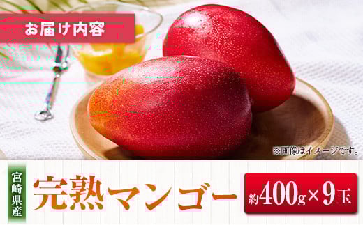 ◆宮崎県産 完熟マンゴー（9玉）