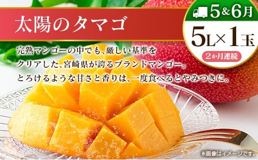 【10回定期便】旬 人気 フルーツ 南国宮崎産 太陽のタマゴ 金柑たまたまエクセレント シャインマスカット ピオーネ いちご みかん 梨 メロン 柑橘 マンゴー きんかん たまたま ぶどう 果物 詰め合わせ 宮崎県 九州＜E-1コース M500＞