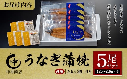 ◆中村商店 うなぎ蒲焼5尾セット 計905g以上 うなぎ蒲焼 5尾