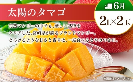 【偶数月 6回定期便】旬 人気 フルーツ 南国宮崎産 太陽のタマゴ きんかん シャインマスカット 日向夏 梨 みかん 柑橘 マンゴー ぶどう 果物 詰め合わせ＜A-2コース M120＞