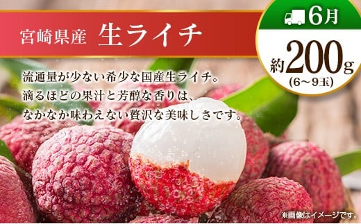 【12回定期便】旬 人気 フルーツ 南国宮崎産 マンゴー ライチ 金柑たまたま シャインマスカット ピオーネ いちご みかん 日向夏 メロン 梨 柑橘 きんかん ぶどう 果物 詰め合わせ 宮崎県 九州 1年 毎月お届け＜Bコース M200＞