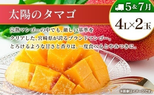 【12回定期便】旬 人気 フルーツ 南国宮崎産 マンゴー ライチ 金柑たまたまエクセレント シャインマスカット ピオーネ いちご みかん 梨 柑橘 太陽のタマゴ きんかん たまたま ぶどう 果物 詰め合わせ 宮崎県 九州 1年 毎月お届け＜Dコース M400＞