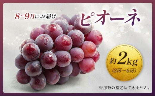 ＜2026年発送＞ フルーツ 定期便 完熟マンゴー ピオーネ ぶどう 先行予約 初夏 秋 旬 果物 全2回