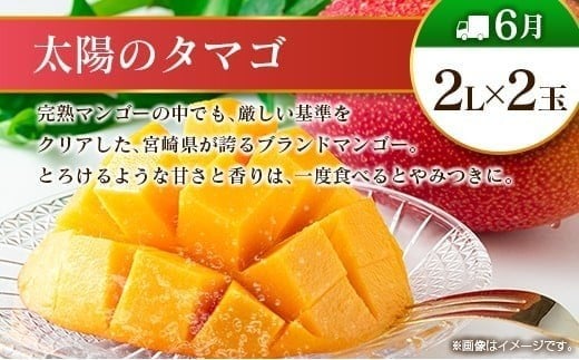【偶数月 6回定期便】旬 人気 フルーツ 南国宮崎産 太陽のタマゴ きんかん シャインマスカット 日向夏 梨 みかん 柑橘 マンゴー ぶどう 果物 詰め合わせ＜A-2コース M120＞