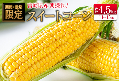 ◆朝採れスイートコーン (合計約4.5kg) 宮崎県産