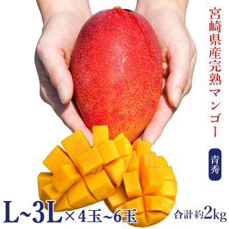 宮崎県産完熟マンゴー[青秀] 合計約2kg（4～6玉）