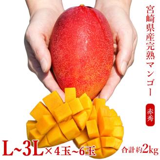 宮崎県産完熟マンゴー[赤秀] 合計約2kg（4～6玉）