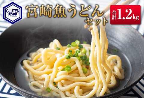 ◆宮崎魚うどんセット　(合計1.2kg)