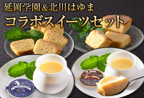 □延岡学園＆北川はゆまコラボスイーツセット