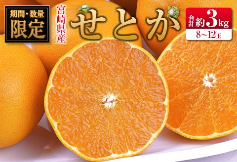 ◇宮崎県産 せとか 約3kg（8～12玉入）