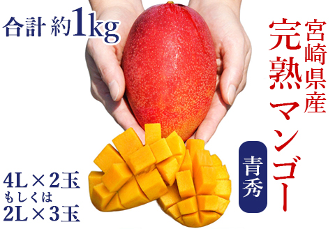 宮崎県産完熟マンゴー[青秀] 合計約1kg（2～3玉）
