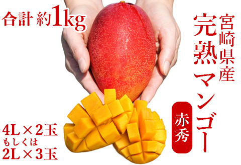 宮崎県産完熟マンゴー[赤秀] 合計約1kg（2～3玉）