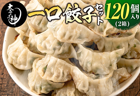 ◇「一口餃子の大明神」一口餃子セット 2箱（120個入り）