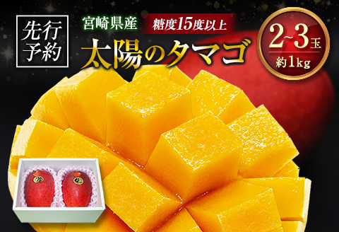 ≪先行予約≫ 宮崎県産 完熟マンゴー「太陽のタマゴ」約1kg 計2～3玉 2026年発送 ブランド 南国 トロピカル フルーツ 果物 くだもの 化粧箱入り 約1kg（2～3玉×1箱）