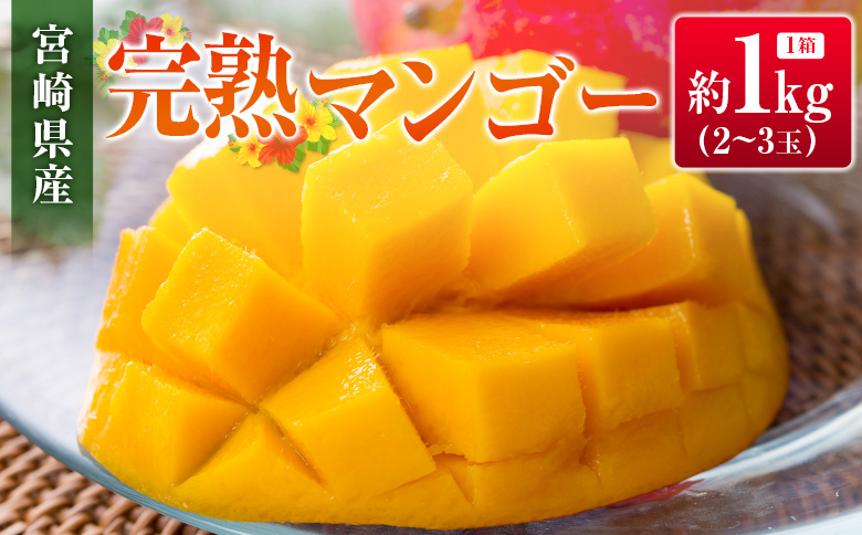 ◆宮崎県産 完熟マンゴー（合計約1kg）