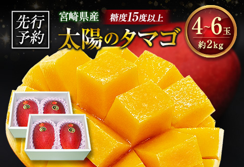 ≪先行予約≫ 宮崎県産 完熟マンゴー「太陽のタマゴ」約2kg 計4～6玉 2026年発送 ブランド 南国 トロピカル フルーツ 果物 くだもの 化粧箱入り 約2kg（2～3玉×2箱）
