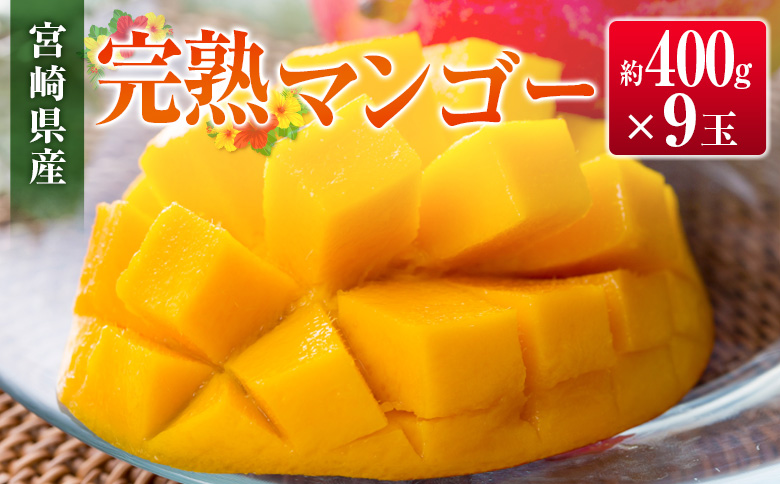 ◆宮崎県産 完熟マンゴー（9玉）
