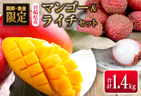 宮崎県産完熟マンゴー家庭用3.４キロ 鉢植栽培 完熟マンゴー 3L×2個 宮崎県西都産 サムライファーム