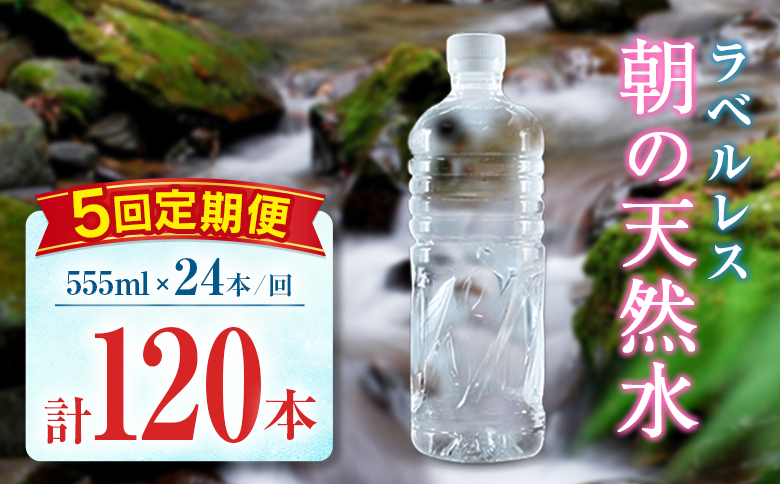 【定期便】 シリカ 朝の天然水 555ml 24本 5回 ラベルレス 中硬水 ミネラルウォーター シリカ水 ケイ素 常温保存 備蓄 防災 宮崎県 霧島連山 【定期便】555ml×24本（1箱）×5回