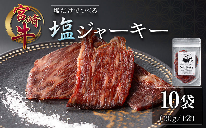 塩だけでつくる 宮崎牛 塩ジャーキー 10袋（20g×10袋）ブランド牛 ビーフジャーキー おつまみ 珍味 グルメ 干し肉 宮崎県産