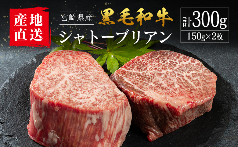 【産地直送】宮崎県産 黒毛和牛 シャトーブリアン ステーキ 2枚