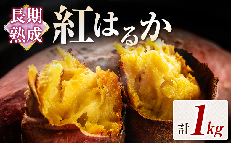 長期熟成 紅はるか 計1kg 宮崎県都城市産 さつまいも サツマイモ 計1kg