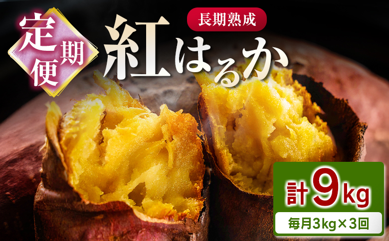 ＜定期便＞3回お届け！長期熟成 紅はるか 計9kg（3kg×3回）宮崎県都城市産 さつまいも サツマイモ 計9kg＜毎月3kg×3回定期便＞