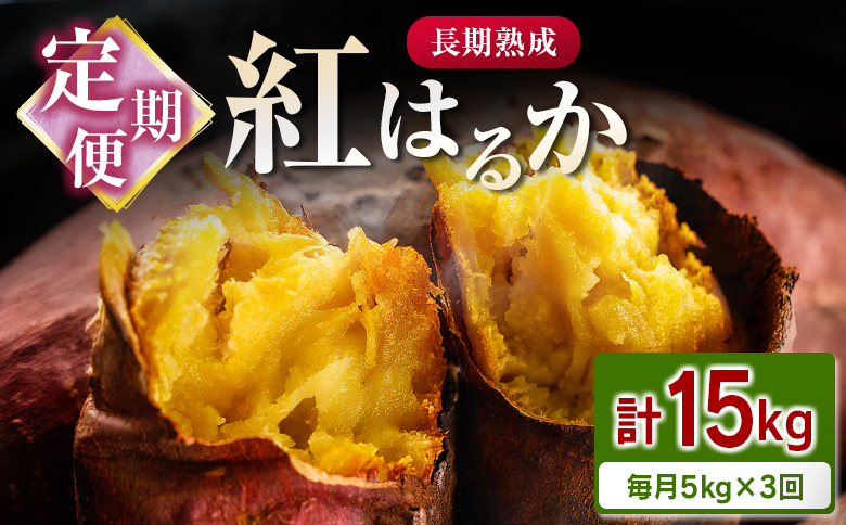 ＜定期便＞3回お届け！長期熟成 紅はるか 計15kg（5kg×3回）宮崎県都城市産 さつまいも サツマイモ 計15kg＜毎月5kg×3回定期便＞