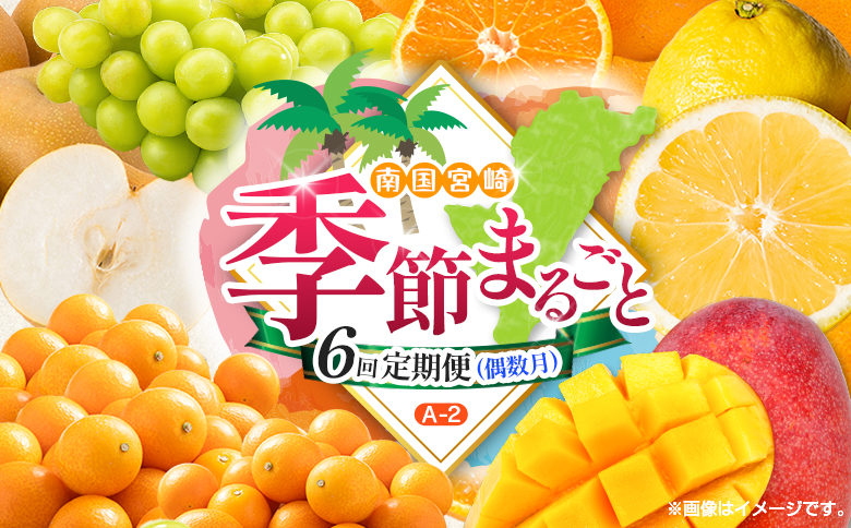 【偶数月 6回定期便】旬 人気 フルーツ 南国宮崎産 太陽のタマゴ きんかん シャインマスカット 日向夏 梨 みかん 柑橘 マンゴー ぶどう 果物 詰め合わせ＜A-2コース M120＞