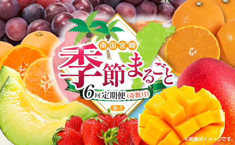 【奇数月 6回定期便】旬 人気 フルーツ 南国宮崎産 マンゴー ピオーネ いちご みかん メロン 柑橘 ぶどう 果物 詰め合わせ 宮崎県 九州＜B-1コース M210＞