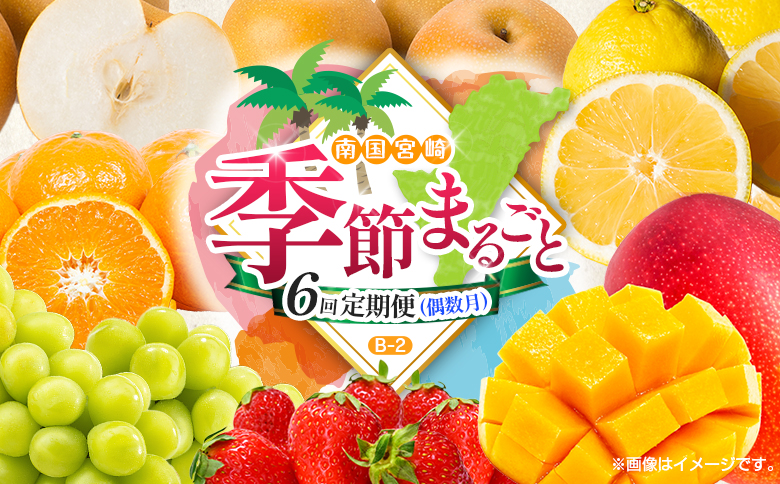 【偶数月 6回定期便】旬 人気 フルーツ 南国宮崎産 マンゴー シャインマスカット いちご 日向夏 梨 みかん 柑橘 ぶどう 果物 詰め合わせ 宮崎県 九州＜B-2コース M220＞