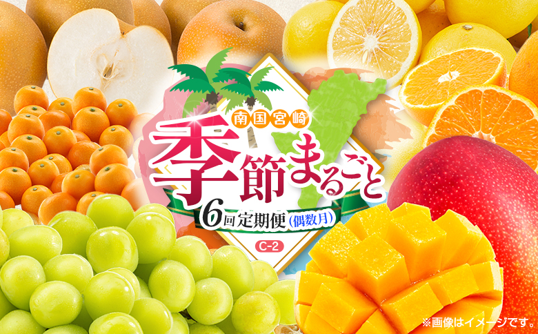 【偶数月 6回定期便】旬 人気 フルーツ 南国宮崎産 マンゴー 金柑たまたま シャインマスカット みかん 梨 日向夏 柑橘 きんかん ぶどう 果物 詰め合わせ 宮崎県 九州＜C-2コース M320＞
