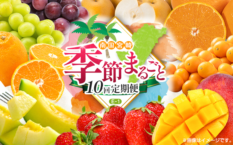 【10回定期便】旬 人気 フルーツ 南国宮崎産 太陽のタマゴ 金柑たまたまエクセレント シャインマスカット ピオーネ いちご みかん 梨 メロン 柑橘 マンゴー きんかん たまたま ぶどう 果物 詰め合わせ 宮崎県 九州＜E-1コース M500＞