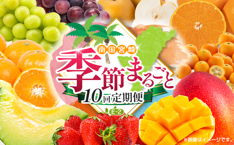 【10回定期便】旬 人気 フルーツ 南国宮崎産 マンゴー 金柑たまたま シャインマスカット ピオーネ いちご みかん 梨 メロン 柑橘 きんかん ぶどう 果物 詰め合わせ 宮崎県 九州＜E-2コース M600＞