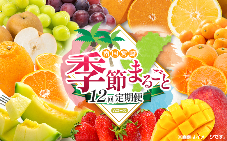 【12回定期便】旬 人気 フルーツ 南国宮崎産 太陽のタマゴ たまたまエクセレント シャインマスカット ピオーネ いちご みかん 日向夏 メロン 梨 柑橘 完熟 マンゴー きんかん たまたま ぶどう 果物 詰め合わせ 宮崎県 九州 1年 毎月お届け＜Aコース M100＞