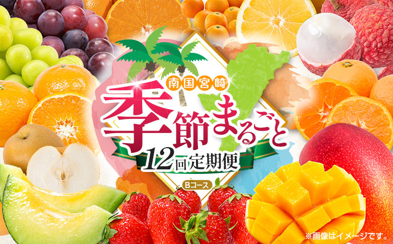 【12回定期便】旬 人気 フルーツ 南国宮崎産 マンゴー ライチ 金柑たまたま シャインマスカット ピオーネ いちご みかん 日向夏 メロン 梨 柑橘 きんかん ぶどう 果物 詰め合わせ 宮崎県 九州 1年 毎月お届け＜Bコース M200＞