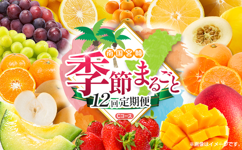 【12回定期便】旬 人気 フルーツ 南国宮崎産 マンゴー 金柑たまたま シャインマスカット ピオーネ いちご みかん 日向夏 メロン 梨 柑橘 きんかん ぶどう 果物 詰め合わせ 宮崎県 九州 1年 毎月お届け＜Cコース M300＞