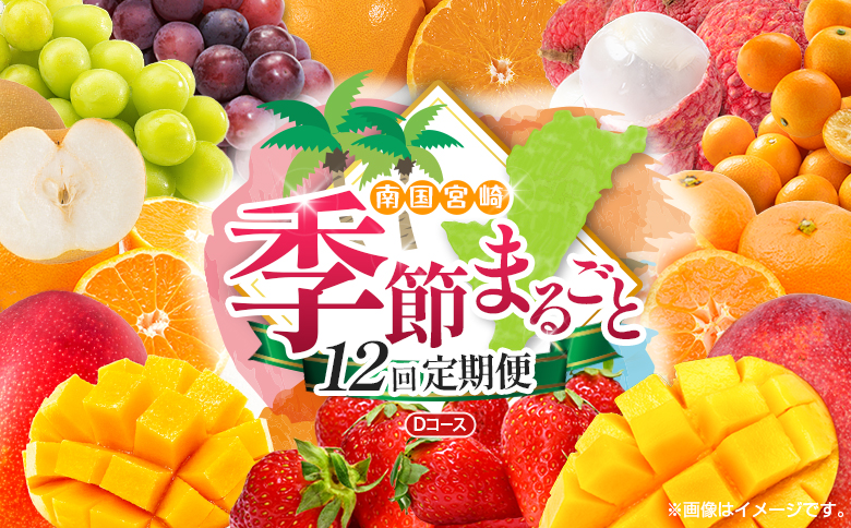 【12回定期便】旬 人気 フルーツ 南国宮崎産 マンゴー ライチ 金柑たまたまエクセレント シャインマスカット ピオーネ いちご みかん 梨 柑橘 太陽のタマゴ きんかん たまたま ぶどう 果物 詰め合わせ 宮崎県 九州 1年 毎月お届け＜Dコース M400＞